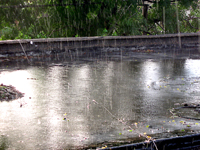 STORMWATER: Proposed stormwater-code revisions open for comment through July 10