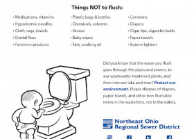 VIDEO: Flushable wipes maybe not so much