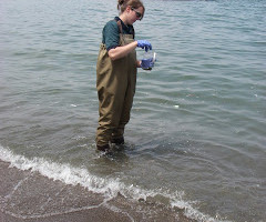 BEACHES: Holiday weekend means beach season is back, daily water-quality testing to resume