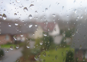 LINK: What causes that after-the-rain smell? Scientists have a theory.