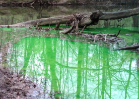 OMG! (Oh my! Green!): Eco-friendly dye helps trace sources of pollution