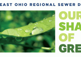 GREEN: Understanding the spectrum, our shade of green must be smart stormwater solutions [#neorsdGREEN]