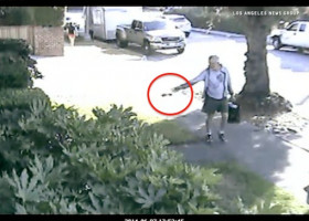 WEIRD: Calif. mayor resigns after caught on video flinging dog poop on neighbor’s lawn