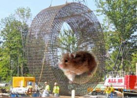 SOURCES: Latest tunnel construction project to be powered by giant hamster wheel. Or not.