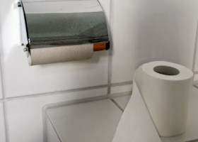 HISTORY: Thank you, Seth Wheeler, inventor of the perforated toilet-paper roll