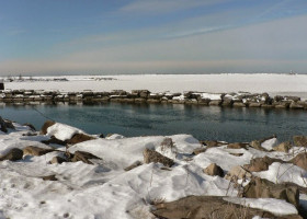 ALGAE: Does Lake Erie’s freezing trend mean more algae in the summer?