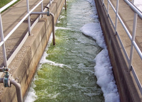 GREEN: Um yeah, even wastewater’s not supposed to look like this. #StPatricksDay