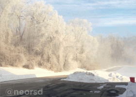 LOOK: Treatment-plant steam coats trees with icy crystals