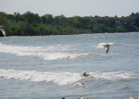 NOTICE: Water quality advisory posted at Edgewater beach following Monday downpour