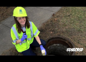 WATCH: Flush o’ the Irish? Kelsey shows us green dye is for more than St. Patrick’s Day.