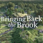 Walking Tour 6 | Doan Brook Restoration at Horseshoe Park (August 4)